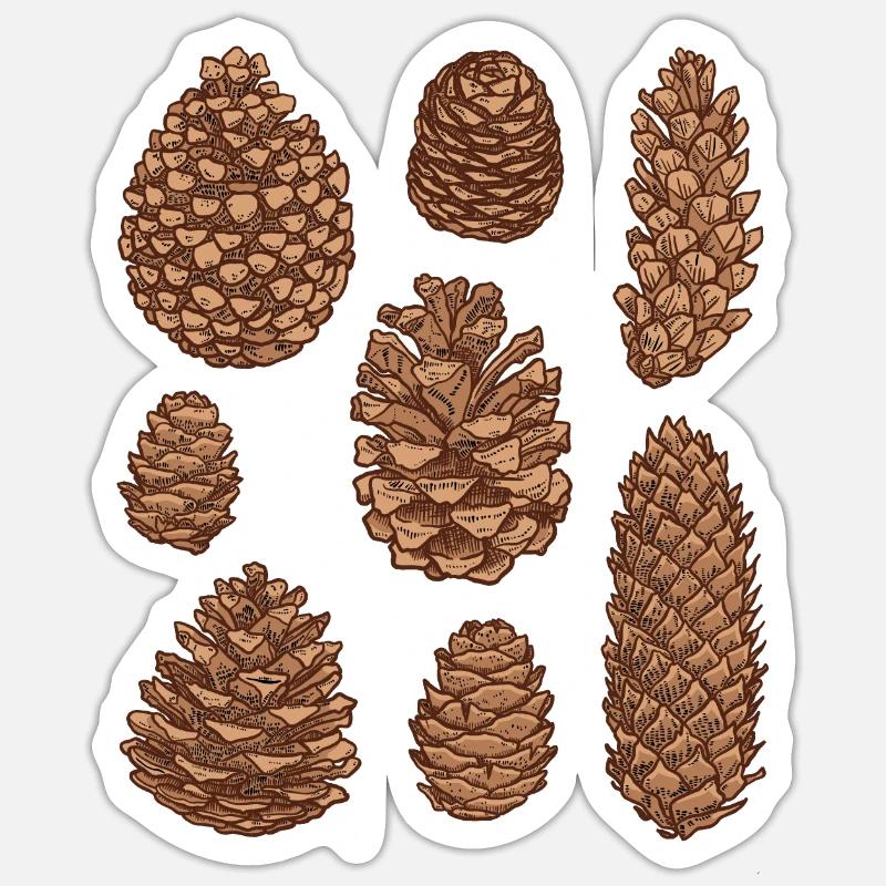 Cones pine cones pine cones spruce cones Sticker size S (10 x 10 cm)