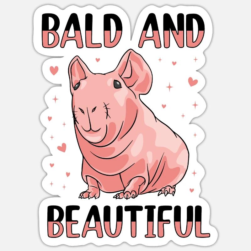 Cochon d’Inde glabre maigre cochon Sticker taille S (10 x 10 cm)