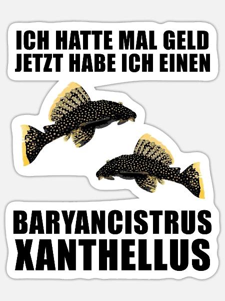 Fish Baryancistrus Xanthellus Fisher Geschenk - Sticker Größe S (10 x 10 cm) - Mattweiß