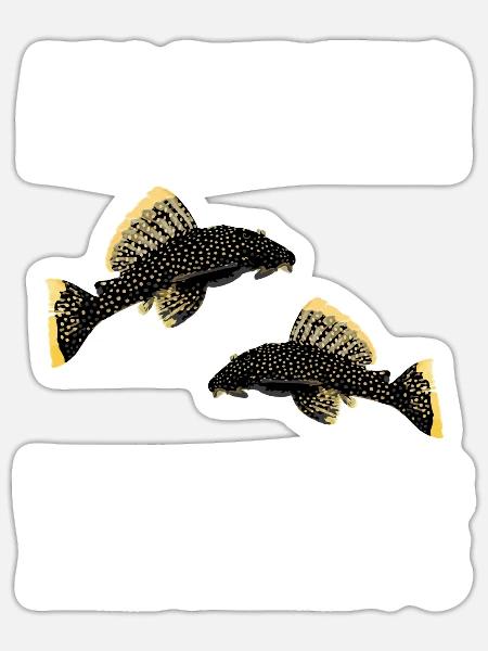 Fish Baryancistrus Xanthellus Fisher Geschenk - Sticker Größe S (10 x 10 cm) - Mattweiß