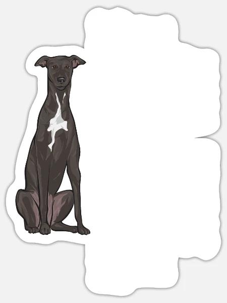 Italienischer Windspiel Windhund Hunde - Sticker Größe S (10 x 10 cm) - Mattweiß