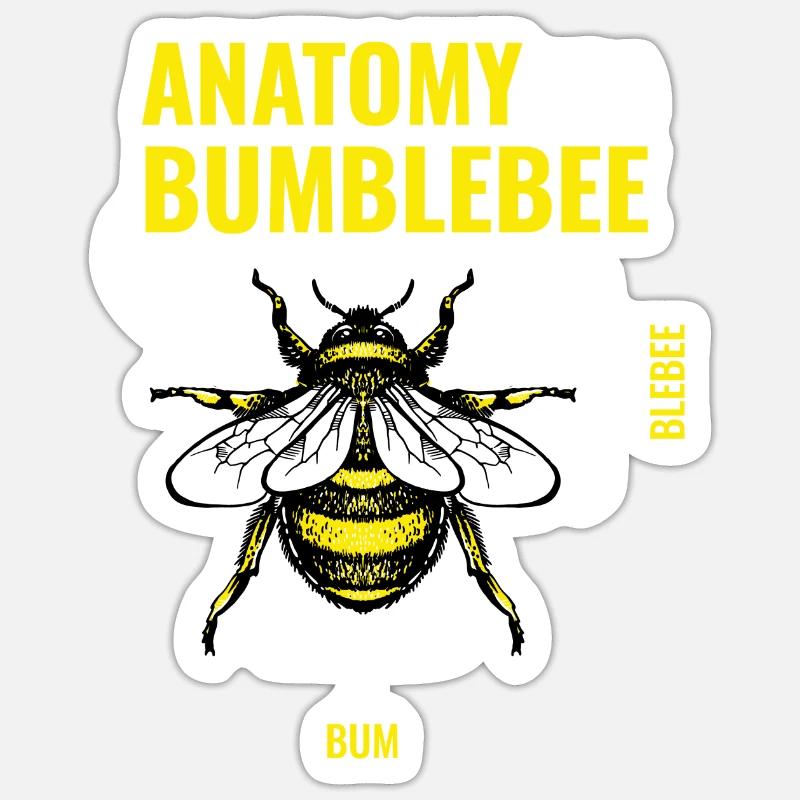 Antatomie d’un bourdon Bourdon Abeilles - Sticker taille S (10 x 10 cm) - blanc mat