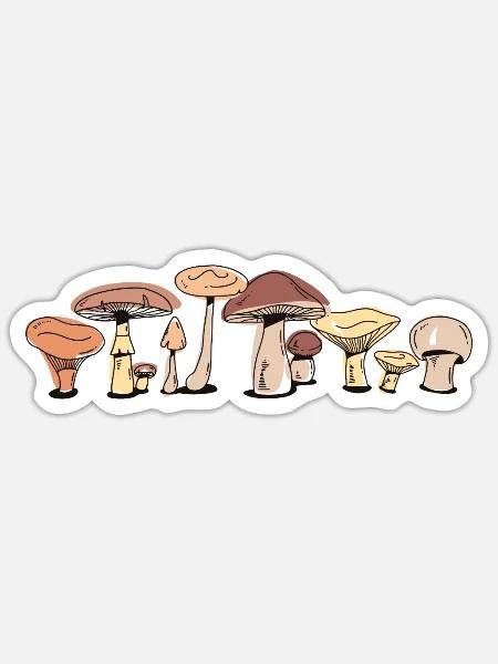 Nahrungssuche Identifizierung Jägerpilz pflücken - Sticker Größe S (10 x 10 cm) - Mattweiß
