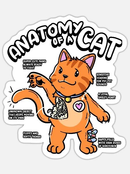 Anatomie Einer Katze Niedliche Pfoten Serotonin - Sticker Größe S (10 x 10 cm) - Mattweiß