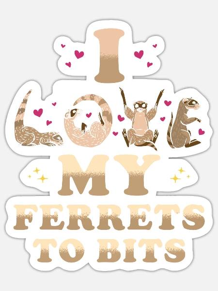 Frettchen Geschenk für Frettchen Besitzer - Sticker Größe S (10 x 10 cm) - Mattweiß