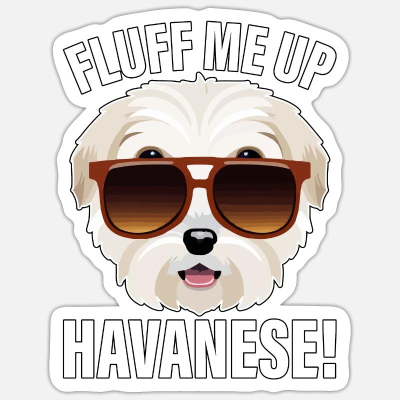 Gonflez-moi le bichon havanais - Sticker taille S (10 x 10 cm) - blanc mat