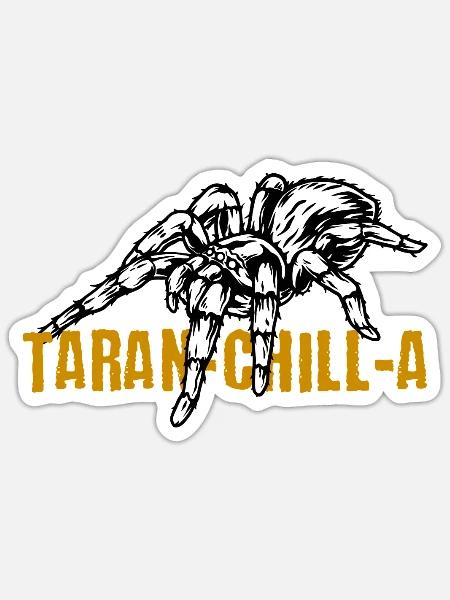 Spinnenliebhaber Spinnentiernetz Terrarium - Sticker Größe S (10 x 10 cm) - Mattweiß