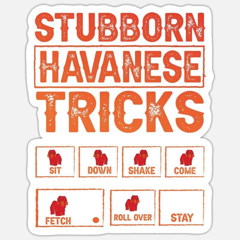 Stubborn Havanese Tricks - Sticker size S (10 x 10 cm) - white matte
