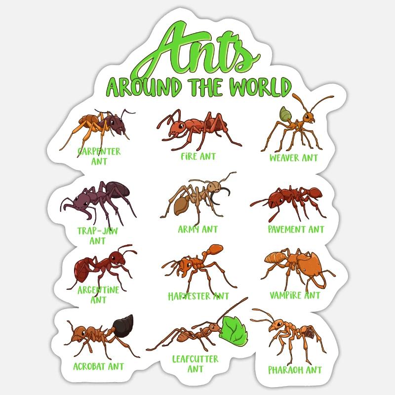Fourmis du monde - Espèces de fourmis - Sticker taille S (10 x 10 cm) - blanc mat