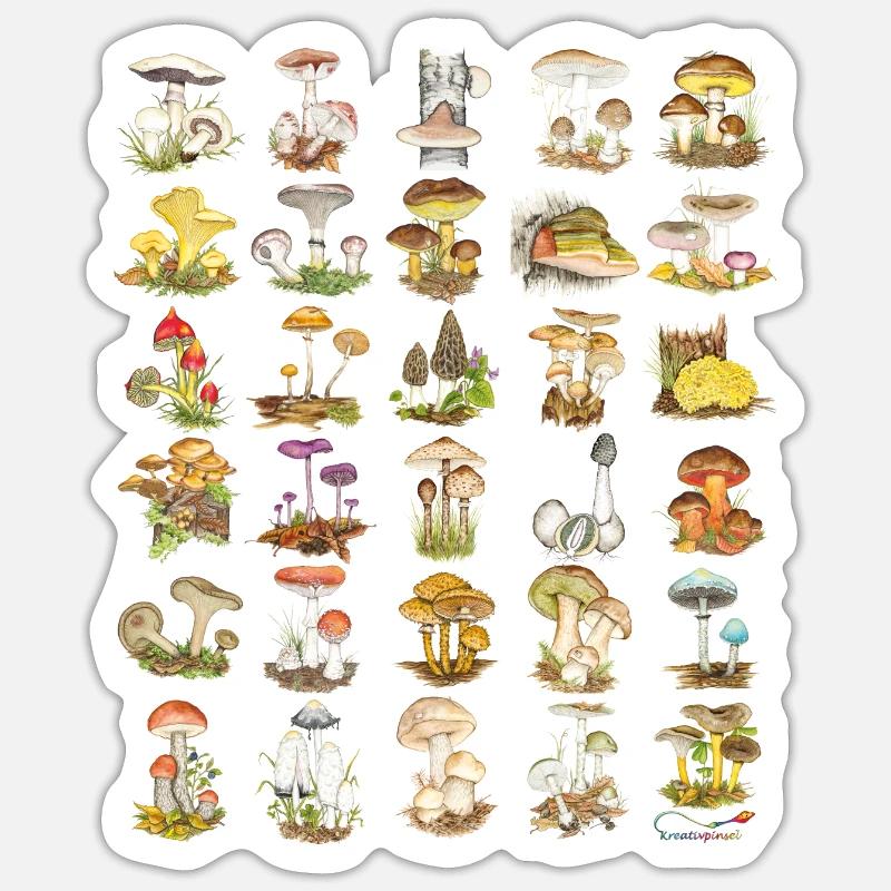 Diversité des champignons Sticker taille S (10 x 10 cm)