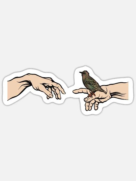 Star Vogel des Jahres Common starling - Sticker Größe S (10 x 10 cm) - Mattweiß