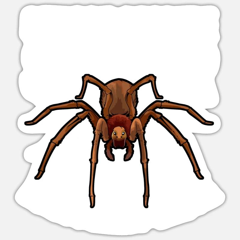 Chilenische Winkelspinne Sticker Größe S (10 x 10 cm)