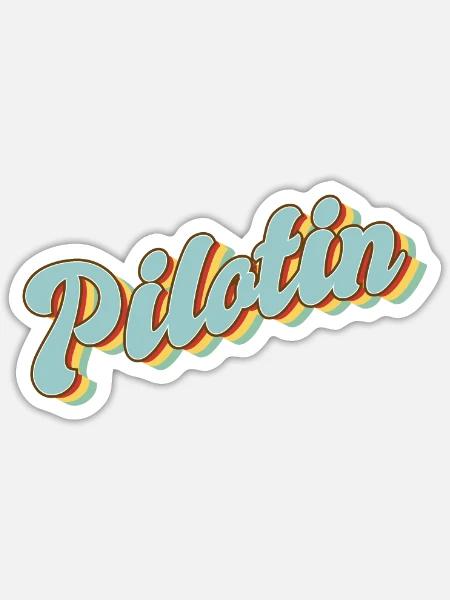 Flugzeug Abschluss-Geschenk Pilotin - Sticker Größe S (10 x 10 cm) - Mattweiß