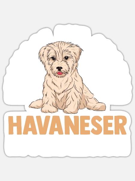 Hund Havaneser - Sticker Größe S (10 x 10 cm) - Mattweiß