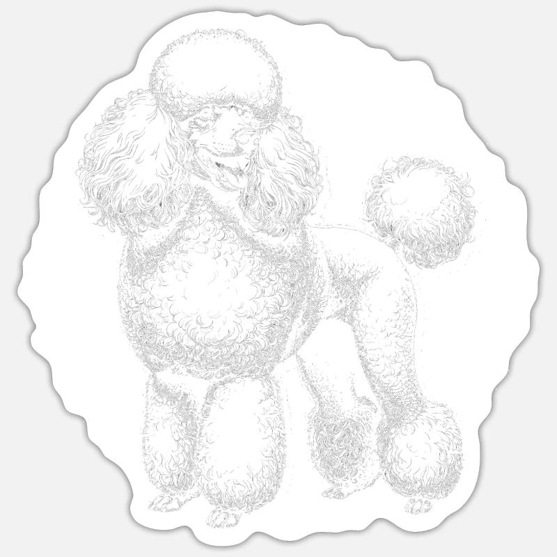 Caniche Chien - Sticker taille S (10 x 10 cm) - blanc mat