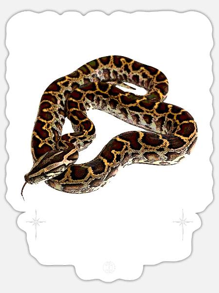 Burmesische Python Moderne Streetwear Reptilienhalterin - Sticker Größe S (10 x 10 cm) - Mattweiß