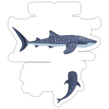 Whale Hai Anatomie Männer Kinderkinder Whale Hai - Sticker Größe S (10 x 10 cm) - Mattweiß - Vorne