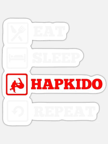 Hapkido-Kampfkunst-Geschenk - Sticker Größe S (10 x 10 cm) - Mattweiß