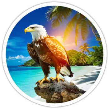 Eagle at Eagle Beach Aruba Summer Vacation - Sticker size S (10 x 10 cm) - white matte - Front