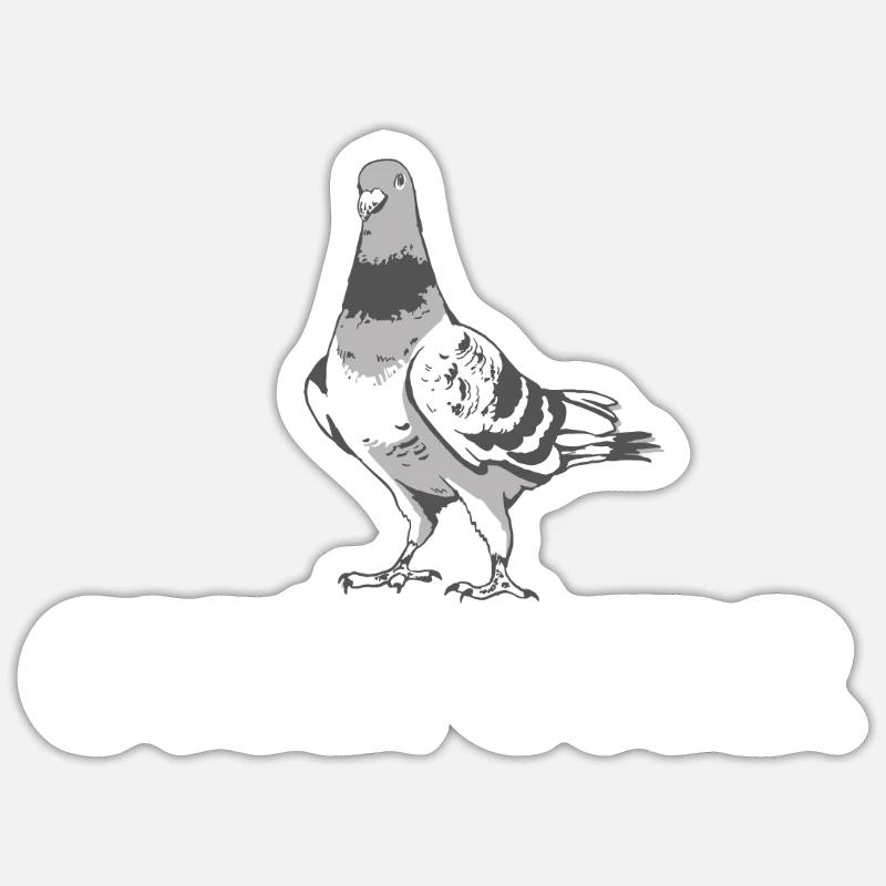 Taube Tauben Tier Vogel - Sticker Größe S (10 x 10 cm) - Mattweiß