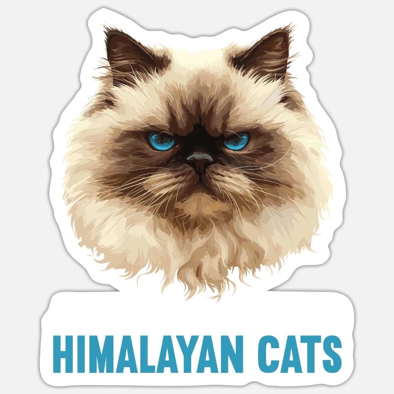 Himalayan Cat Colourpoint Katze - Sticker size S (10 x 10 cm) - white matte