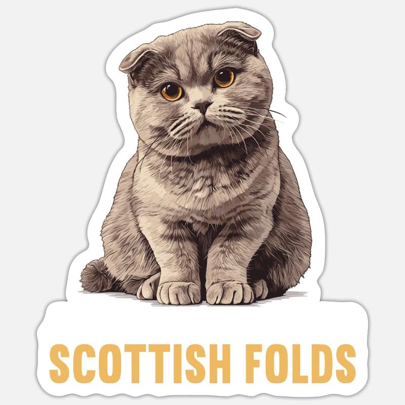 Scottish Fold Kitten Scottish Fold chat Sticker taille S (10 x 10 cm)