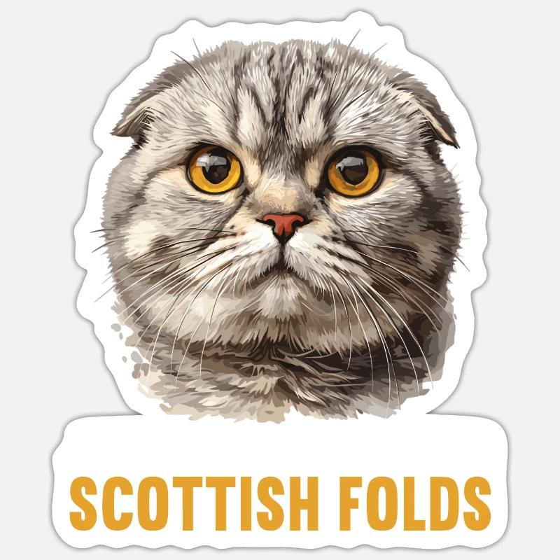 Scottish Fold Kitten Scottish Fold chat Sticker taille S (10 x 10 cm)