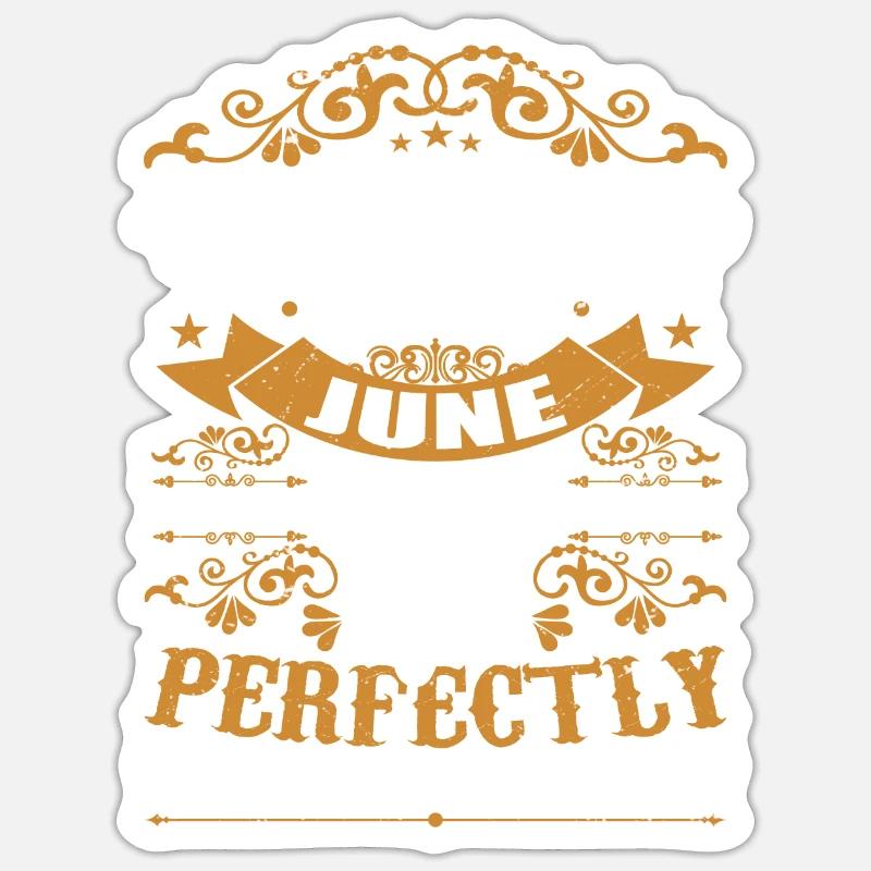Geschenk Juni 2013 Geburtstag Juni 2013 Juni 2013 - Sticker Größe S (10 x 10 cm) - Mattweiß