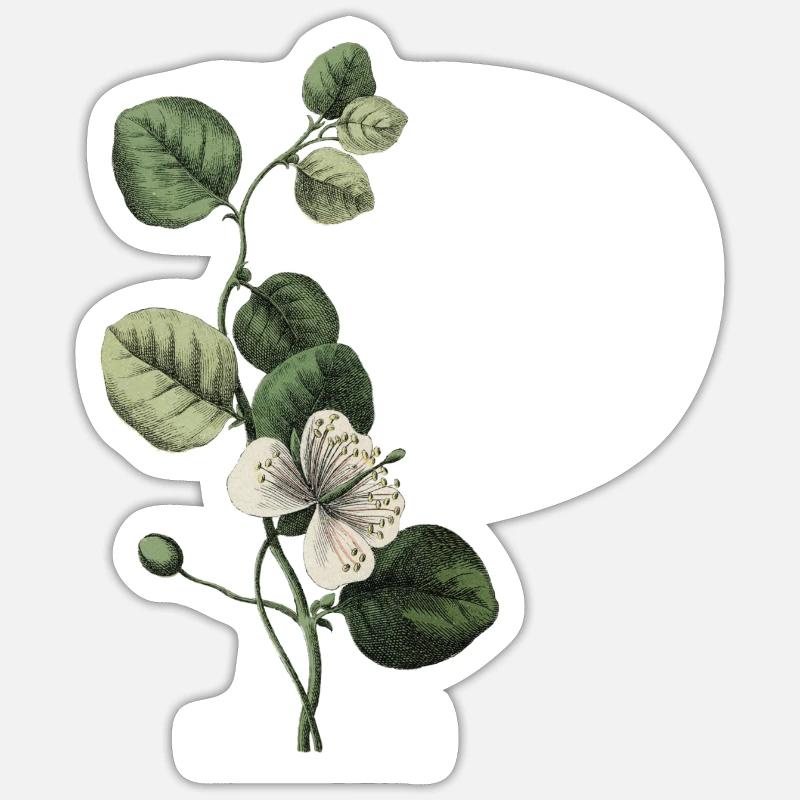 lettre p botanique vert - Sticker taille S (10 x 10 cm) - blanc mat
