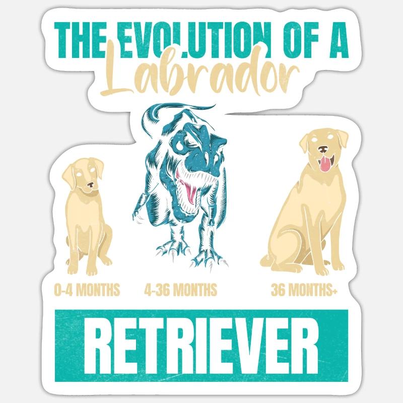 EVOLUTION D’UN PROPRIÉTAIRE DE LABRADOR RETRIEVER Sticker taille S (10 x 10 cm)