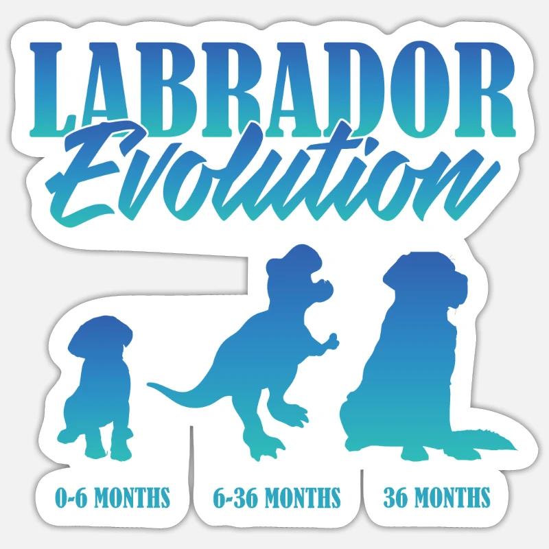 LABRADOR EVOLUTION Labrador Besitzer Lustiges Sticker Größe S (10 x 10 cm)