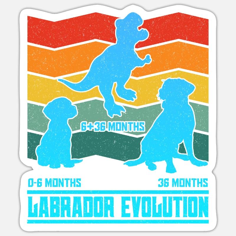 Propriétaire Labrador LABRADOR EVOLUTION Drôle Sticker taille S (10 x 10 cm)