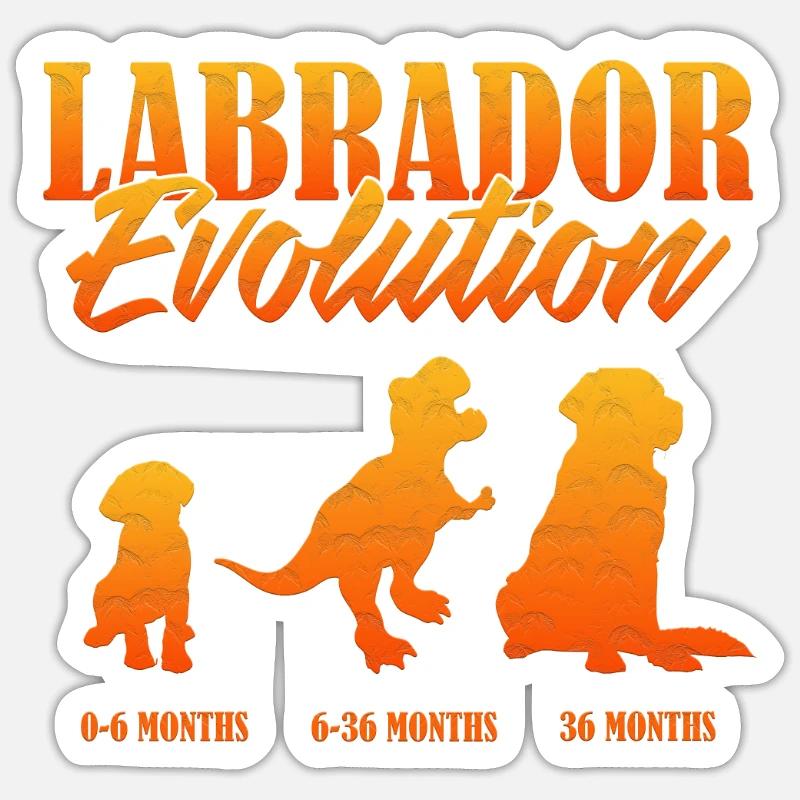 LABRADOR EVOLUTION Labrador Besitzer Lustiges Sticker Größe S (10 x 10 cm)