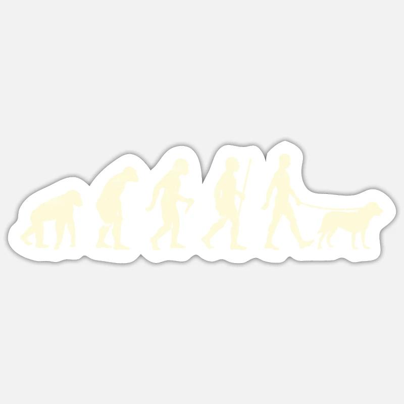Labrador Fan LABRADOR EVOLUTION Funny Labrador Sticker size S (10 x 10 cm)