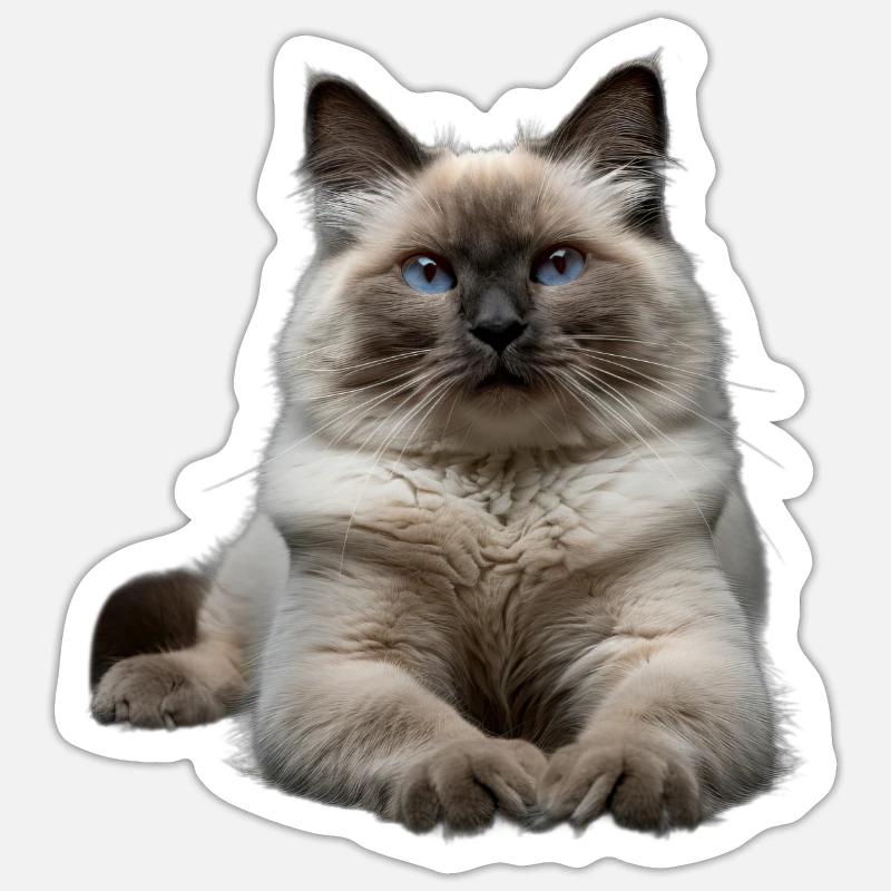 Birmanie - Sticker taille S (10 x 10 cm) - blanc mat