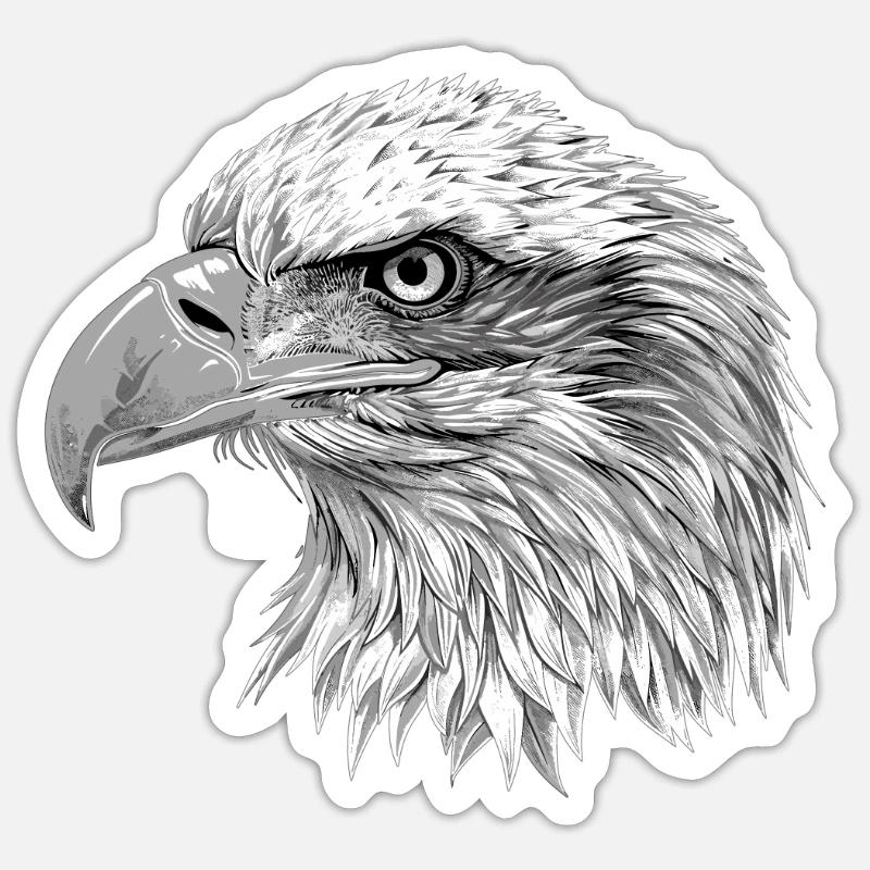 Bald Eagle Weißkopfseeadler - Sticker Größe S (10 x 10 cm) - Mattweiß