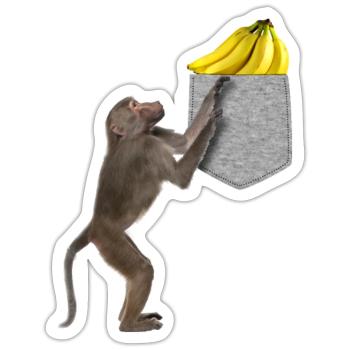 Singe Babouin Atteignant Banane Dans Fausse Poche - Sticker taille S (10 x 10 cm) - blanc mat - Devant