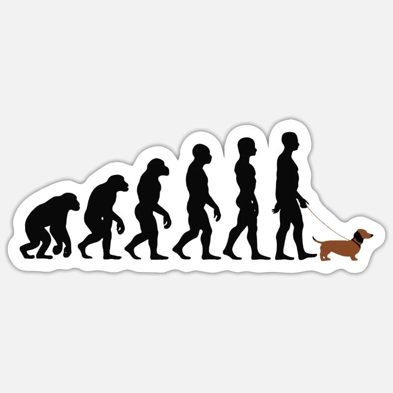 Teckel - Sticker taille S (10 x 10 cm) - blanc mat
