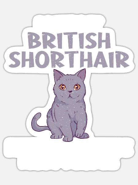 British Shorthair Gifts - Sticker Größe S (10 x 10 cm) - Mattweiß