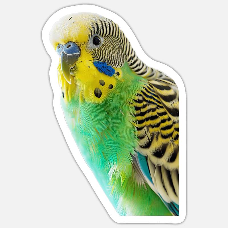 Perruche ondulée - Sticker taille S (10 x 10 cm) - blanc mat