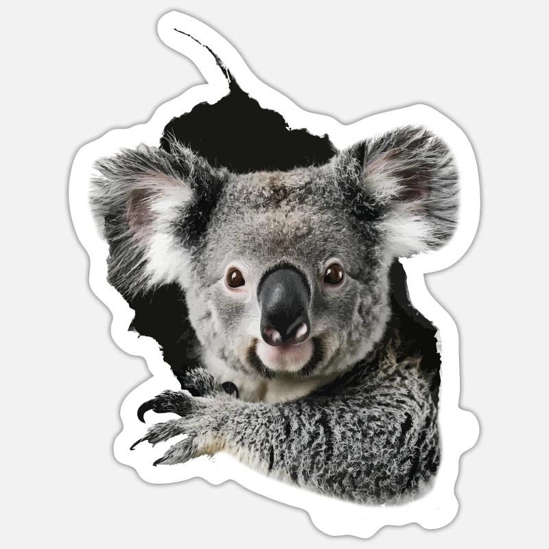 Koala - Sticker taille S (10 x 10 cm) - blanc mat