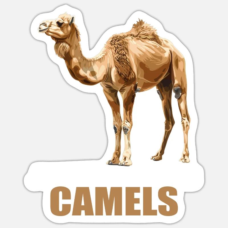 Camel Kamele Kamel - Sticker størrelse S (10 x 10 cm) - mat hvid