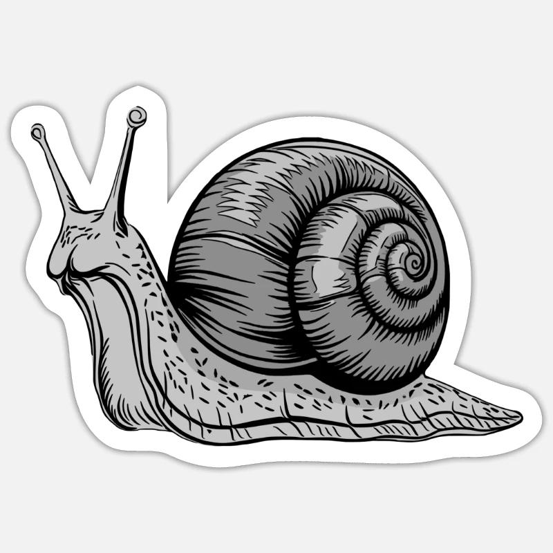 Illustration graphique d’animal escargot gris - Sticker taille S (10 x 10 cm) - blanc mat