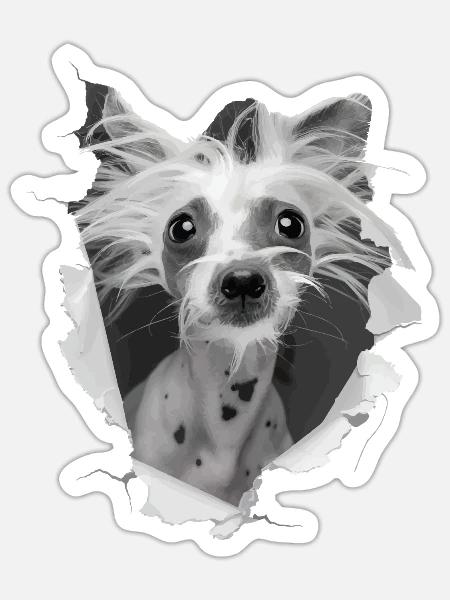 Chinesischer Schopfhund - Sticker Größe S (10 x 10 cm) - Mattweiß
