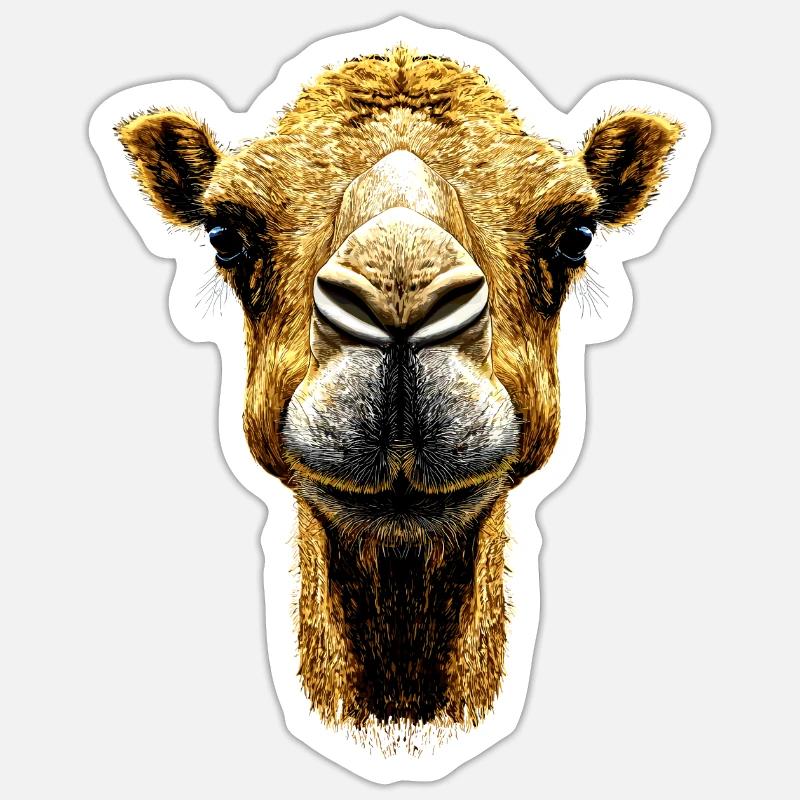 Kamel Dromedar Trampeltier Camel Geschenk Kamele Sticker Größe S (10 x 10 cm)