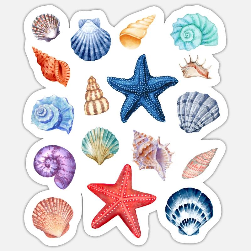 Shell Collection.Colorful Shells from Summer Holidays Sticker size S (10 x 10 cm)