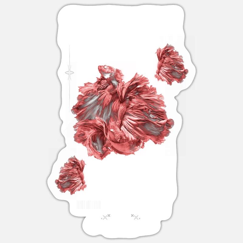 Siamese Fighting Fish Betta Life Fish Sticker size S (10 x 10 cm)