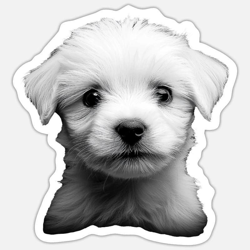 maltesisch Sticker Größe S (10 x 10 cm)