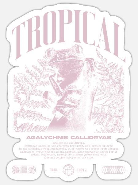 Rotäugiger Laubfrosch Regenwald Amphibie - Sticker Größe S (10 x 10 cm) - Mattweiß