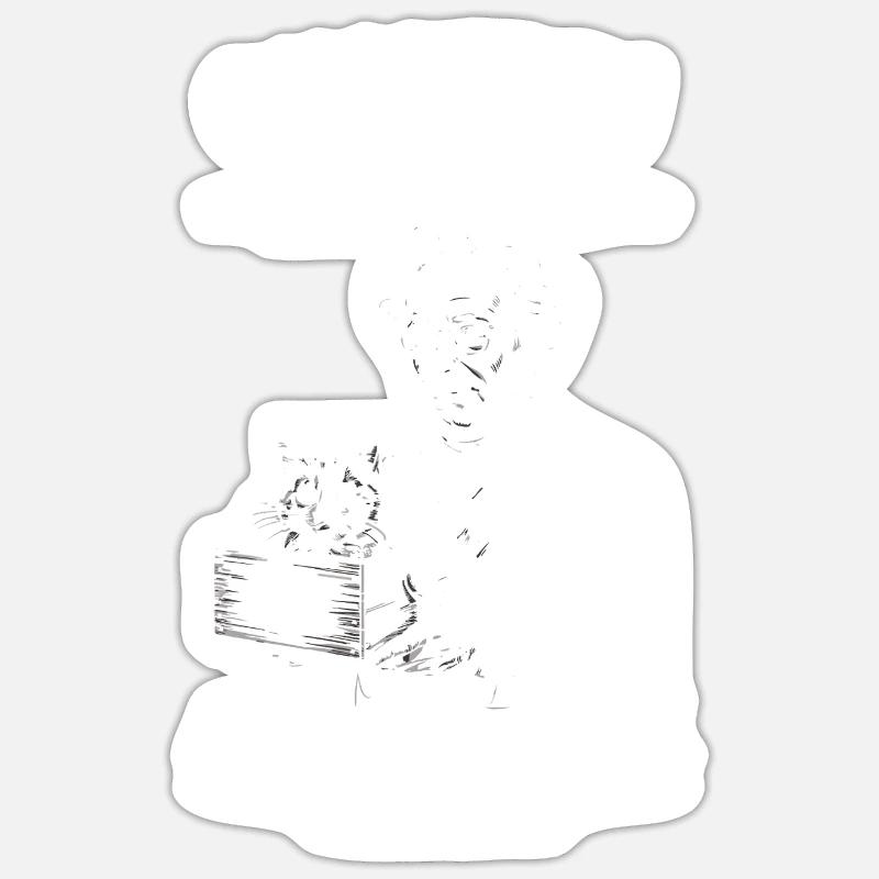 Quantum Physics a cat in a box since 1935 Sticker size S (10 x 10 cm)